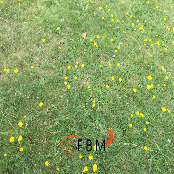 Offres de vente Terrain Eysines 33320